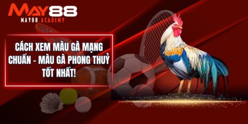 Cách Xem Màu Gà Mạng Chuẩn - Màu Gà Phong Thuỷ Tốt Nhất!