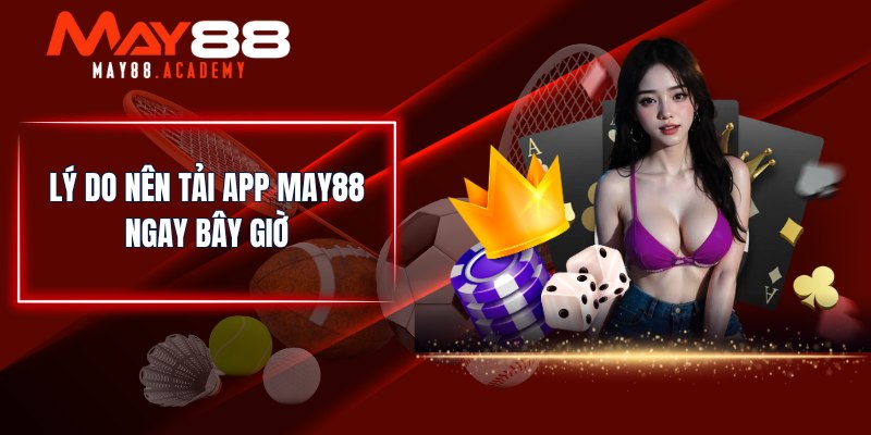 Lý do nên tải app MAY88 ngay bây giờ