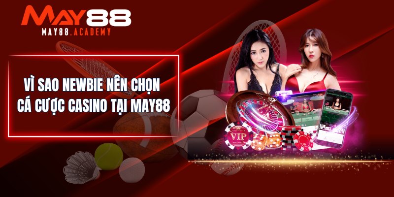 Vì sao newbie nên chọn cá cược Casino tại MAY88